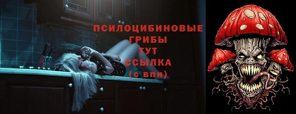 прущая мука Ельня