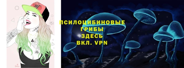 прущая мука Ельня