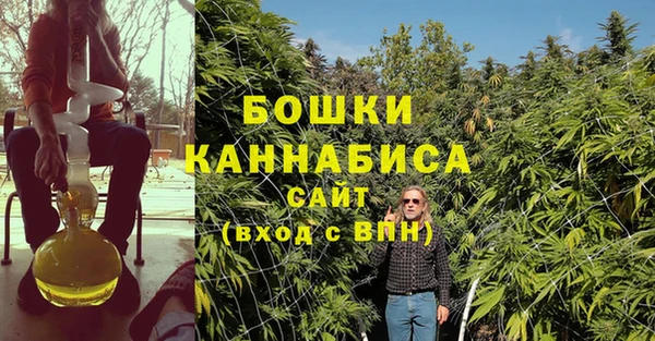 прущая мука Ельня