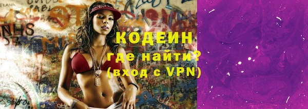 стаф Дегтярск