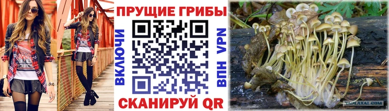 Галлюциногенные грибы ЛСД  как найти закладки  Задонск 